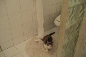 华体会体育-沉默核爆，恩比德的涅槃与硬仗之王的冰冷正名