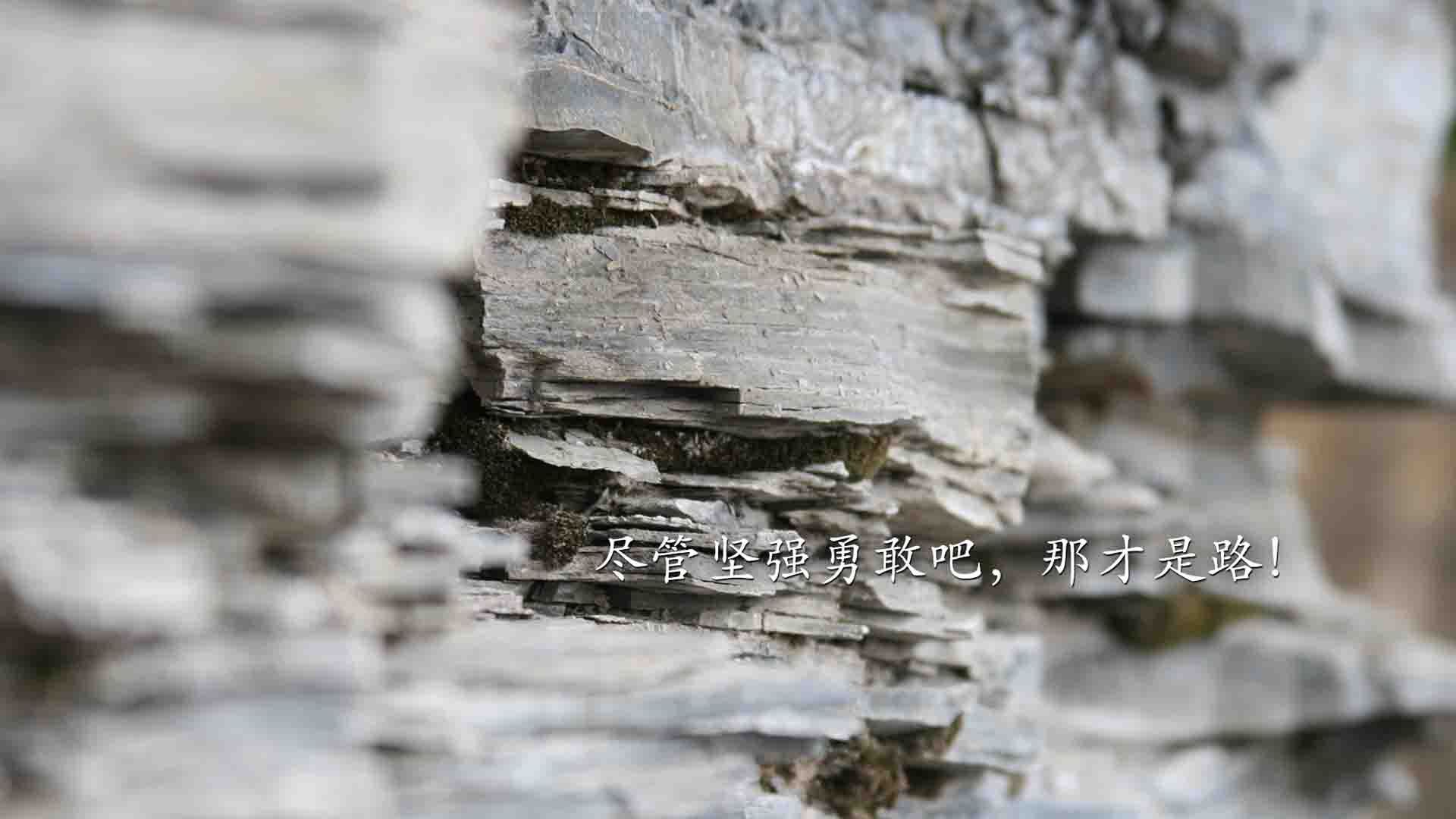 华体会登陆-枫叶红过葡萄藤，2026世界杯F组惊天战，加拿大横扫葡萄牙，孙兴慜独舞成最耀眼星光  第1张